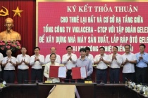 Geleximco muốn xây nhà máy ô tô công nghệ cao 18.800 tỉ đồng ở Thái Bình