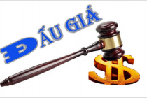 Đấu giá tài sản trực tuyến tạo sự công khai, minh bạch, đáp ứng yêu cầu chuyển đổi số