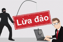 Lừa đảo qua mạng gây thiệt hại 374 triệu USD cho người dùng Internet Việt trong năm 2021