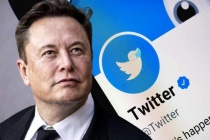 Người dùng Twitter tích xanh sẽ phải trả phí