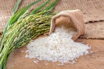 Nhà khoa học Việt Nam phát hiện chất chống ung thư máu trong lúa, gạo