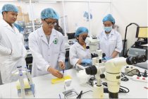 Việt Nam có ba nhà khoa học đoạt giải thưởng khoa học sáng tạo quốc tế