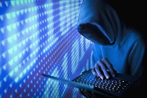 Việt Nam có 224 địa chỉ IP của cơ quan, tổ chức nhà nước nằm trong mạng máy tính ma
