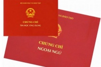 Bỏ chứng chỉ ngoại ngữ, tin học từ tháng 12/2022