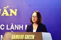 Bảo vệ và hỗ trợ trẻ em trên môi trường mạng