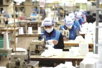 Cả nước có 10,8 nghìn doanh nghiệp thành lập mới trong tháng 1/2023