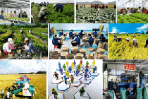 Chỉ đạo, điều hành của Chính phủ, Thủ tướng Chính phủ ngày 2/2