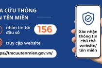 Người dân có thể tra cứu thông tin tên miền qua đầu số 156 từ ngày 1/3