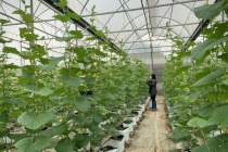 Tăng tốc phát triển công nghệ sinh học từ Nghị quyết 36