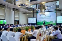 Phát triển thị trường carbon sẽ là chìa khóa cho chuyển đổi xanh thành công