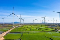 Việt Nam tích cực, chủ động triển khai bài bản các cam kết tại COP26