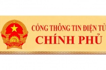 Cổng TTĐT Chính phủ đáp ứng hiệu quả nhu cầu thông tin khắt khe của độc giả