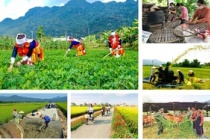 Quốc hội thông qua một số cơ chế, chính sách đặc thù thực hiện các chương trình mục tiêu quốc gia