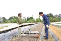 Phù thủy máy nông nghiệp mang thương hiệu made Việt Nam vươn tầm thế giới