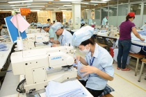 Nâng cao năng suất dựa trên nền tảng khoa học, công nghệ và đổi mới sáng tạo