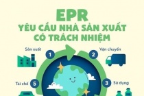 Vận hành Cổng thông tin điện tử EPR quốc gia và những thuận lợi cho doanh nghiệp