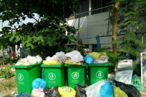 Đến năm 2030, Đồng Nai sẽ chuyển sang công nghệ đốt rác thu hồi năng lượng
