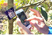 Số hóa gần 10.000 cây sầu riêng hướng đến phát triển ngành hàng sầu riêng bền vững