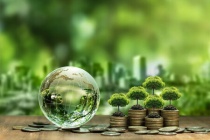Tìm hiểu về tín chỉ carbon, đồng tiền tệ vô hình nhưng có thể đem lại doanh thu lớn