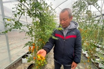 Nông dân Hải Dương đẩy mạnh giao dịch thương mại điện tử