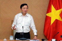 Tổng kết hoạt động thí điểm, khẩn trương luật hóa quản lý xe điện 4 bánh