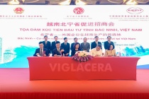 Các KCN của Viglacera thu hút thêm hơn 200 triệu USD vốn đầu tư nước ngoài