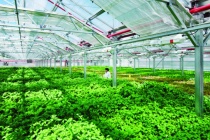 Thanh Hóa: Sản xuất nông nghiệp áp dụng công nghệ số