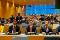 Việt Nam đề nghị WIPO mở rộng hợp tác trong nhiều lĩnh vực