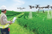 Những điểm nghẽn khoa học công nghệ trong lĩnh vực nông nghiệp