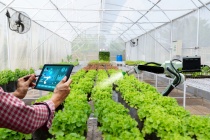 Phát triển nông nghiệp công nghệ cao, tạo đột phá về năng suất, chất lượng nông sản