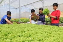 Khơi thông hành lang pháp lý cho phát triển nông nghiệp công nghệ cao