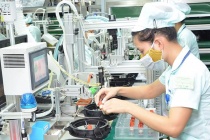 Chưa có quyết sách ưu đãi đầu tư FDI khi thực thi thuế tối thiểu toàn cầu