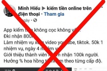 Mất tiền tỷ vì theo dõi, thả tim tiktok, nghe nhạc... việc nhẹ lương cao trên không gian mạng