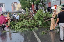 Các địa phương rốt ráo khắc phục hậu quả Bão số 3, hàng hóa đảm bảo đủ nhu cầu
