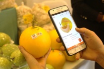 4 nguyên tắc truy xuất nguồn gốc giúp nâng tầm thương hiệu