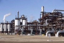 Việt Nam và Hàn Quốc hợp tác phát triển công nghệ quản lý phát thải carbon