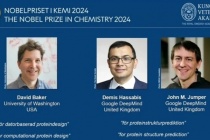Nobel Hóa học 2024: Dùng AI 'giải mã' về protein