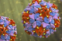 Hơn 160.000 loại virus RNA mới được phát hiện nhờ AI
