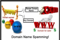 Ngăn chặn, xử lý lạm dụng website lừa đảo, vi phạm pháp luật sử dụng tên miền quốc tế