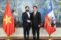 Chủ tịch nước Lương Cường hội đàm với Tổng thống Chile
