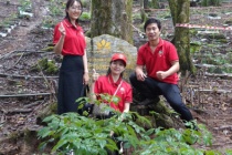 Lắp đặt trạm phát sóng Viettel để ngăn trộm sâm Ngọc Linh