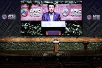 Chủ tịch nước phát biểu tại Hội nghị Thượng đỉnh doanh nghiệp APEC-CEO Summit