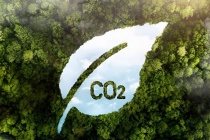 Đề xuất mở rộng hợp tác thích ứng biến đổi khí hậu và xây dựng thị trường carbon ở Việt Nam