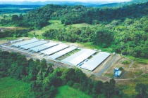 Trang trại heo Mavin đạt tiêu chuẩn toàn cầu Global GAP