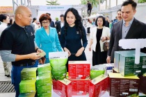 Xây dựng hệ sinh thái thúc đẩy xuất khẩu trực tuyến
