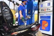 Ngành thuế đã tiếp nhận và xử lý hơn 11 tỷ hóa đơn điện tử