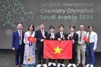 Những thành tích xuất sắc của Việt Nam tại Olympic khu vực, quốc tế năm 2024
