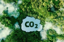 Chính thức vận hành thị trường tín chỉ carbon từ 2029