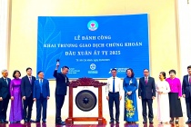 5 giải pháp phát triển thị trường chứng khoán bền vững