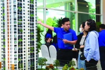 Căn hộ vùng ven hút tiền